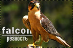 https://upforme.ru/uploads/000b/ad/25/6734/95611.jpg