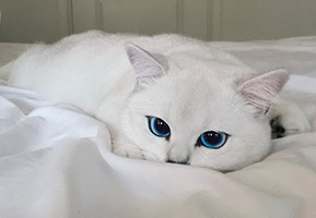 https://upforme.ru/uploads/000b/ad/25/7826/t234850.jpg