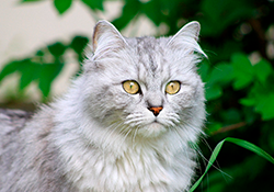 https://upforme.ru/uploads/000b/ad/25/7826/t561084.png