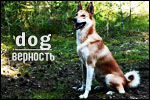 https://upforme.ru/uploads/000b/ad/25/8076/t179600.jpg