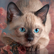 https://upforme.ru/uploads/000b/ad/25/8153/t397323.png