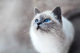 https://upforme.ru/uploads/000b/ad/25/8506/t646511.jpg