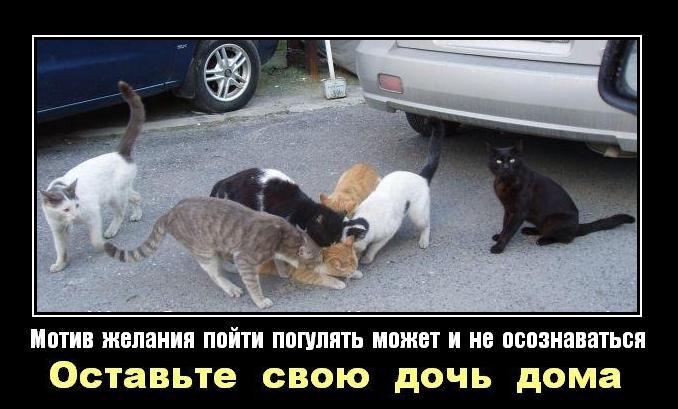 https://upforme.ru/uploads/000b/b5/7d/1287-2-f.jpg
