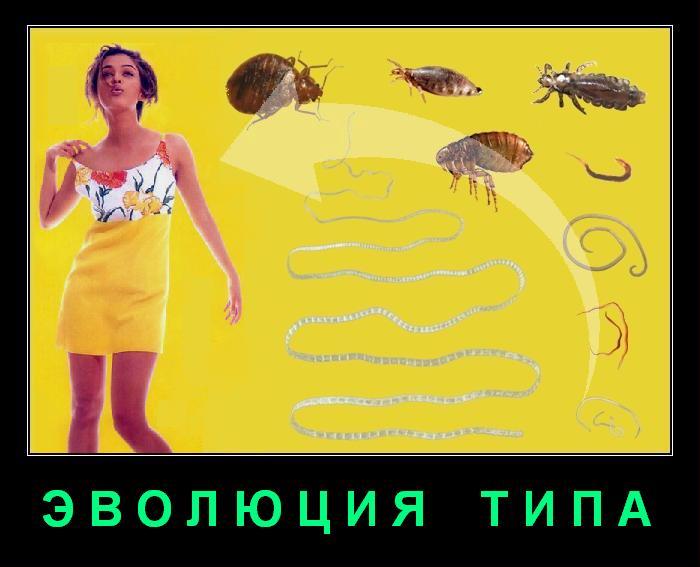 https://upforme.ru/uploads/000b/b5/7d/652-1-f.jpg