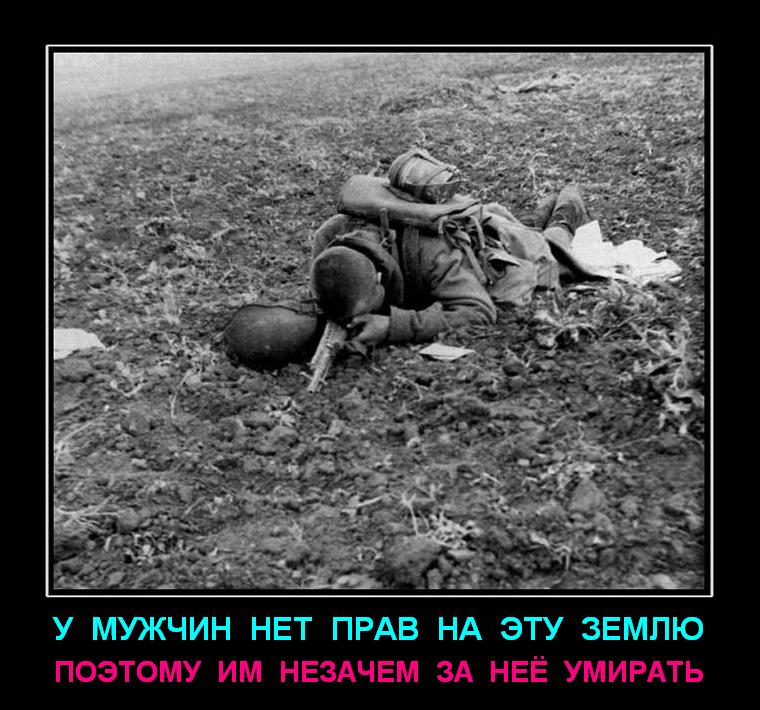 https://upforme.ru/uploads/000b/b5/7d/688-1-f.jpg