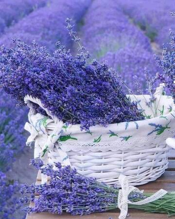https://upforme.ru/uploads/000b/c9/04/33/t742463.jpg