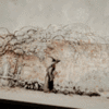 https://upforme.ru/uploads/000b/e6/b0/2/692854.gif