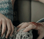 https://upforme.ru/uploads/000b/e6/b0/23/t941719.gif