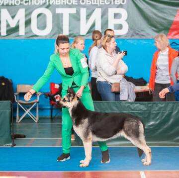 https://upforme.ru/uploads/000b/fb/4c/939/t516589.jpg