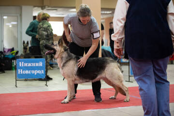 https://upforme.ru/uploads/000b/fb/4c/939/t804779.jpg