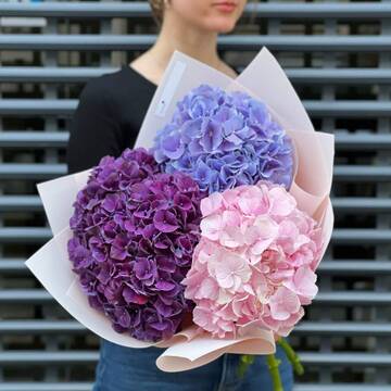 https://upforme.ru/uploads/000c/0b/d9/193/t156474.jpg