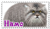 https://upforme.ru/uploads/000c/40/ff/5532-2.png