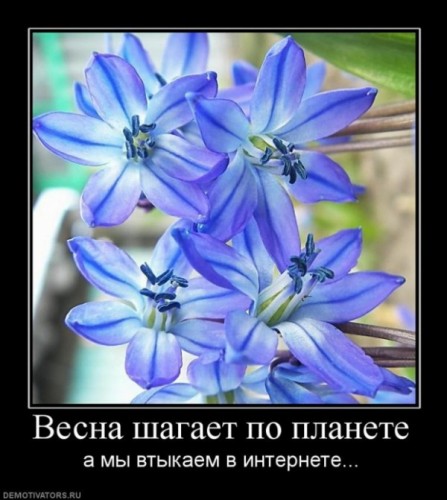 https://upforme.ru/uploads/000c/41/e2/69-2-f.jpg
