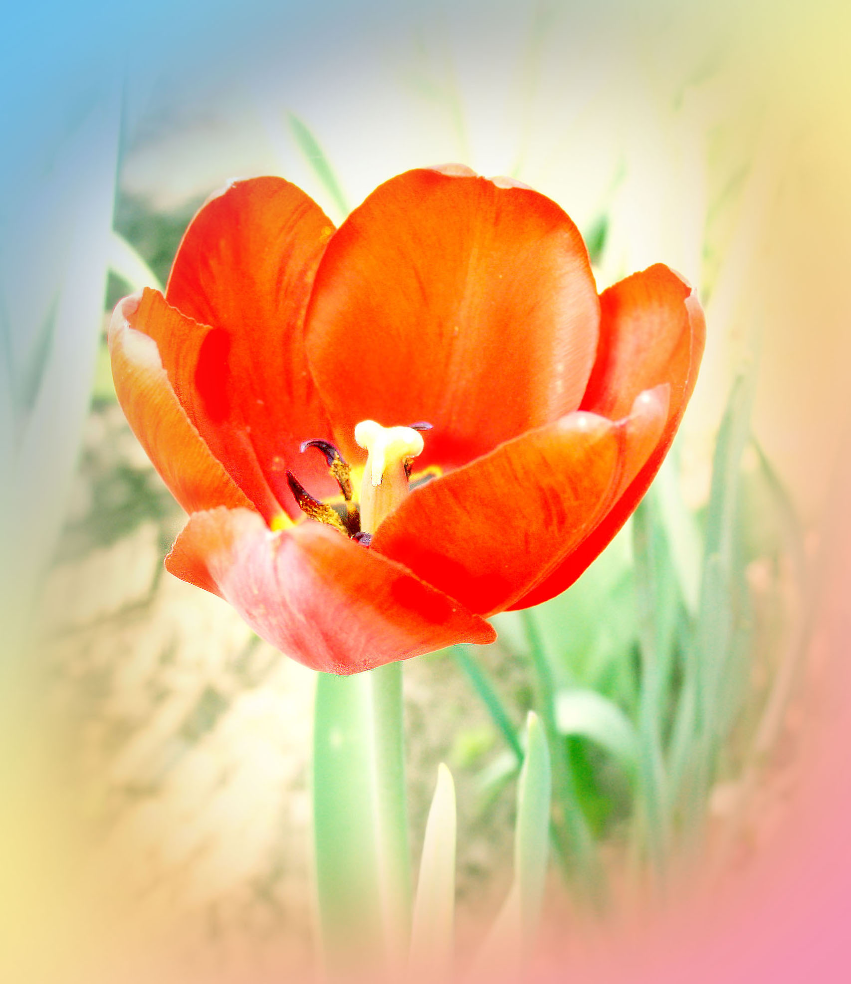 https://upforme.ru/uploads/000c/67/df/1086-1-f.jpg