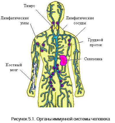 https://upforme.ru/uploads/000c/67/df/1112-1-f.gif