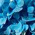 https://upforme.ru/uploads/000c/b2/97/2/62466.png