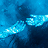 https://upforme.ru/uploads/000c/b2/97/2/923497.png
