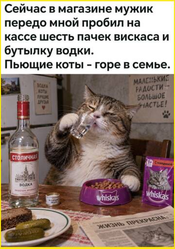 https://upforme.ru/uploads/000d/0e/cb/183/t339366.jpg