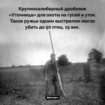 https://upforme.ru/uploads/000d/0e/cb/183/t554608.jpg