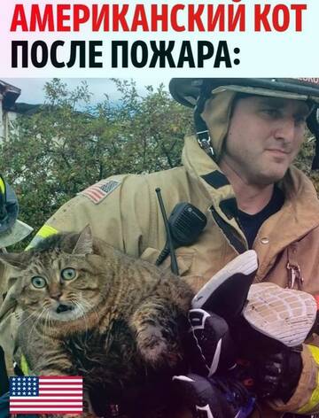 https://upforme.ru/uploads/000d/0e/cb/183/t839456.jpg