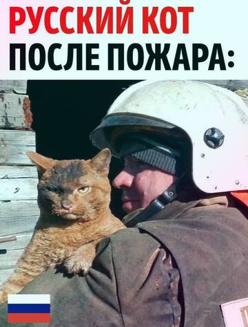https://upforme.ru/uploads/000d/0e/cb/183/t903368.jpg
