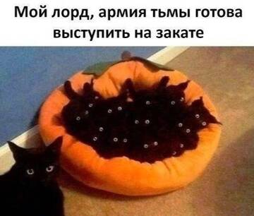 https://upforme.ru/uploads/000d/0e/cb/183/t931355.jpg