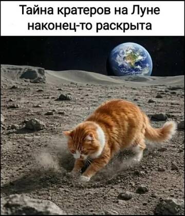 https://upforme.ru/uploads/000d/0e/cb/183/t982667.jpg