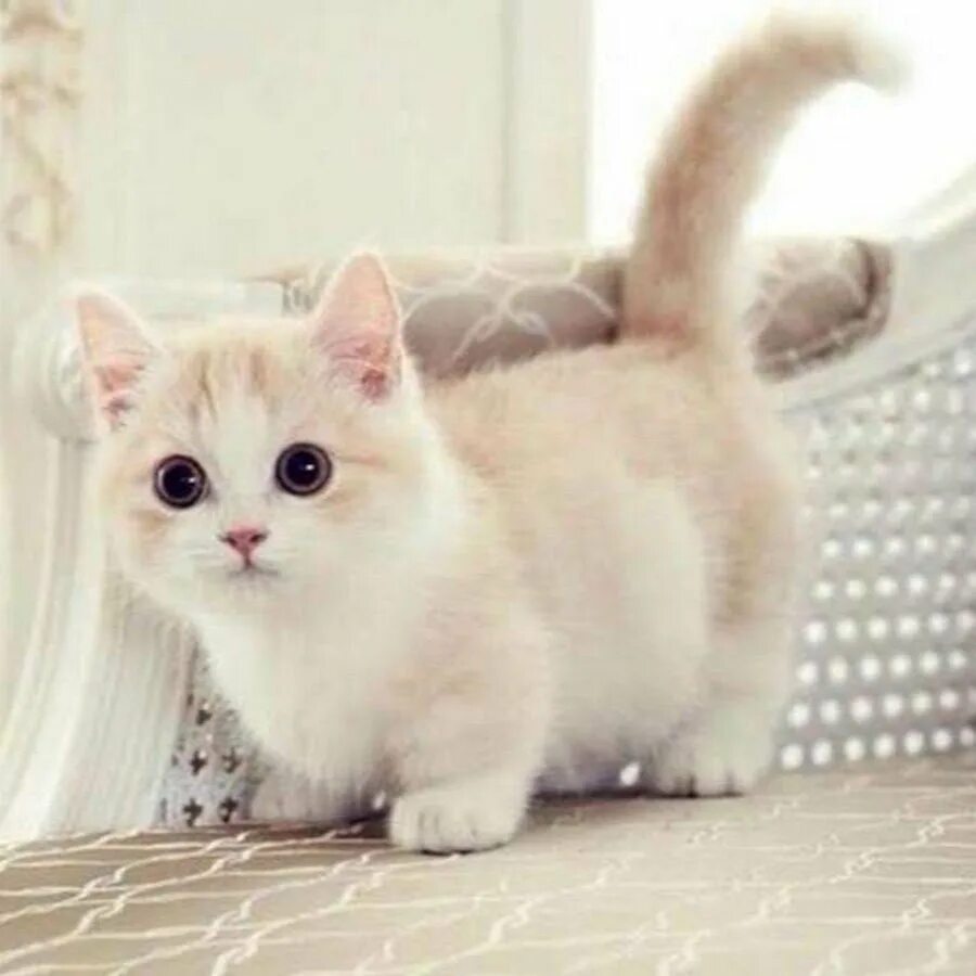 https://upforme.ru/uploads/000d/56/27/117/933259.jpg