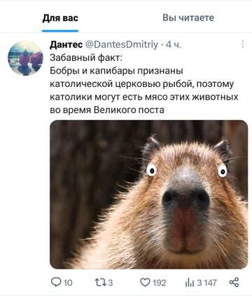 https://upforme.ru/uploads/000d/56/27/320/t275698.jpg