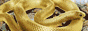 https://upforme.ru/uploads/000d/58/6c/57-3.gif