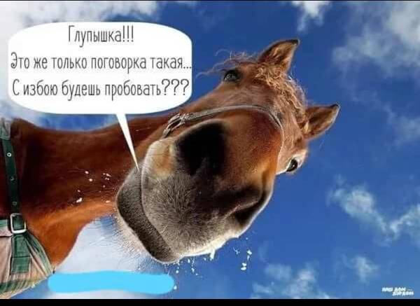https://upforme.ru/uploads/000d/6b/61/3698/t367132.jpg