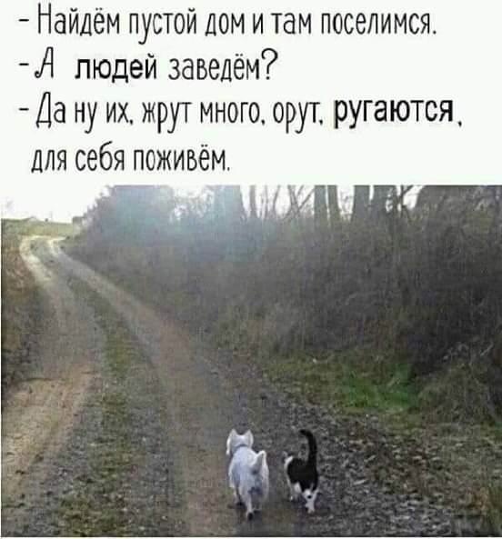 https://upforme.ru/uploads/000d/6b/61/3698/t648661.jpg