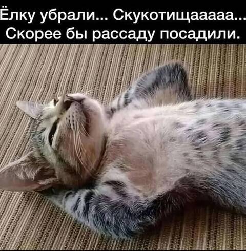https://upforme.ru/uploads/000d/6b/61/38/t21117.jpg