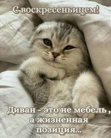 https://upforme.ru/uploads/000d/6b/61/4550/t100976.jpg