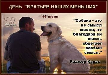 https://upforme.ru/uploads/000d/6b/61/4550/t222722.jpg
