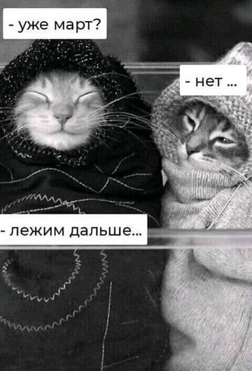 https://upforme.ru/uploads/000d/6b/61/4550/t340919.jpg