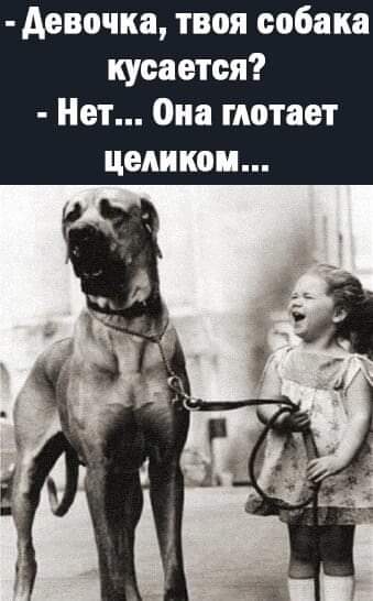https://upforme.ru/uploads/000d/6b/61/4550/t35161.jpg