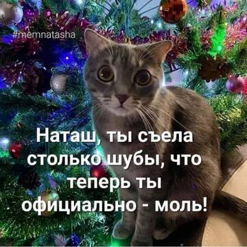 https://upforme.ru/uploads/000d/6b/61/4550/t352682.jpg