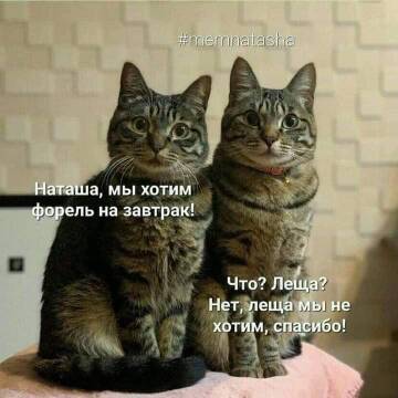https://upforme.ru/uploads/000d/6b/61/4550/t356068.jpg
