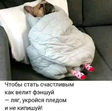 https://upforme.ru/uploads/000d/6b/61/4550/t37554.jpg