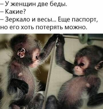 https://upforme.ru/uploads/000d/6b/61/4550/t408658.jpg