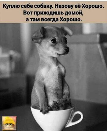 https://upforme.ru/uploads/000d/6b/61/4550/t411078.jpg