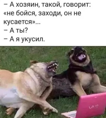 https://upforme.ru/uploads/000d/6b/61/4550/t465775.webp