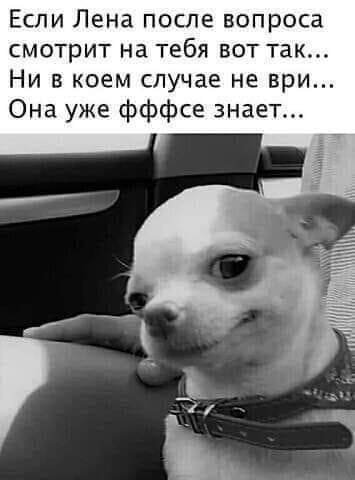 https://upforme.ru/uploads/000d/6b/61/4550/t518010.jpg