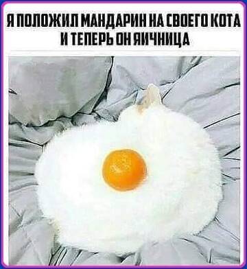 https://upforme.ru/uploads/000d/6b/61/4550/t545507.jpg