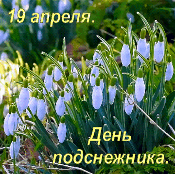 https://upforme.ru/uploads/000d/6b/61/4550/t562025.gif