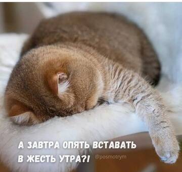https://upforme.ru/uploads/000d/6b/61/4550/t571096.jpg