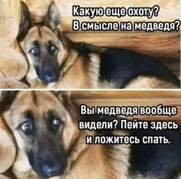 https://upforme.ru/uploads/000d/6b/61/4550/t574633.jpg