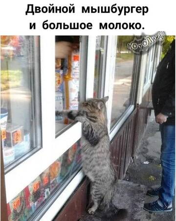 https://upforme.ru/uploads/000d/6b/61/4550/t591349.jpg