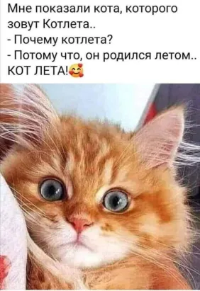 https://upforme.ru/uploads/000d/6b/61/4550/t676315.webp